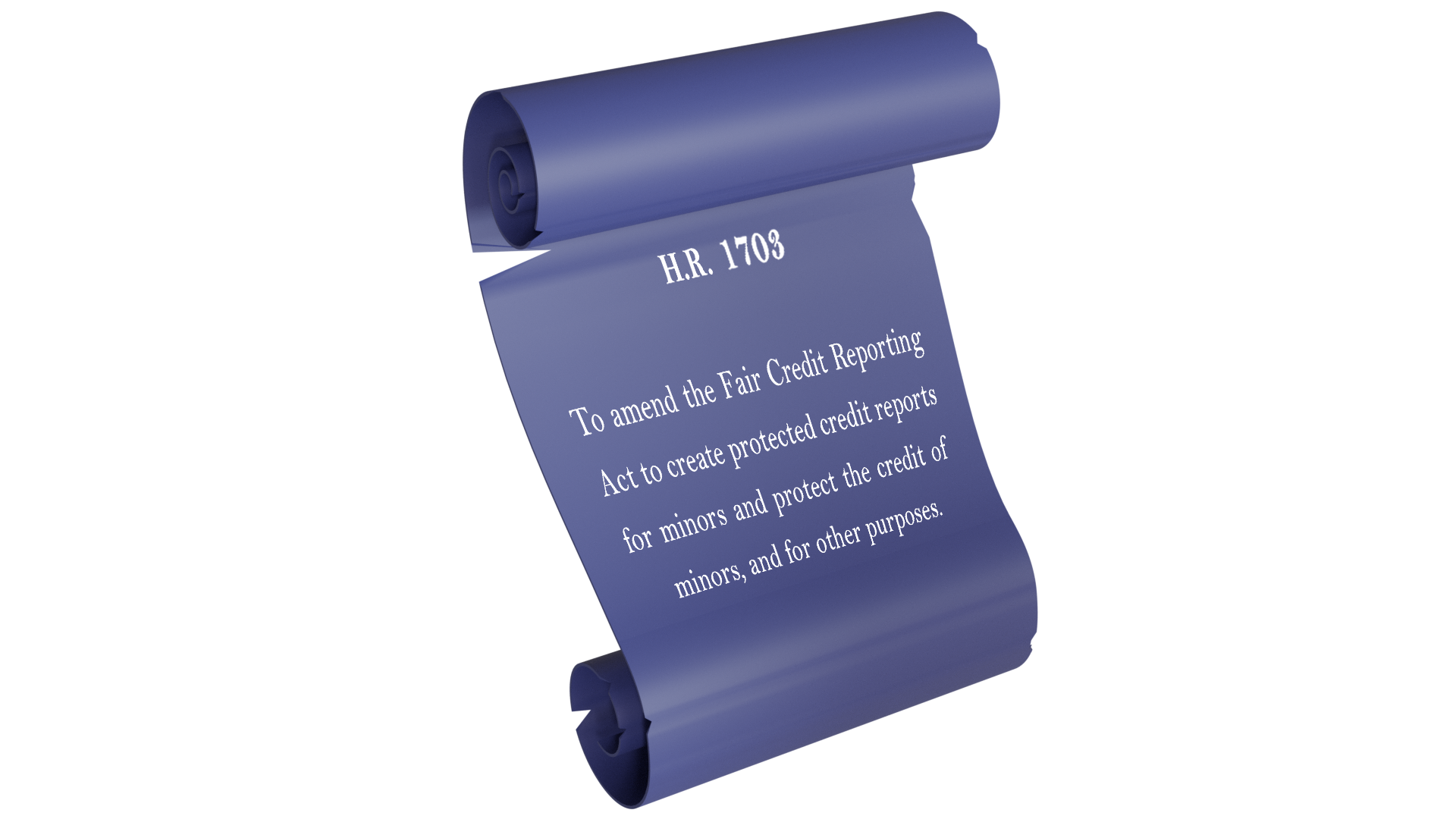 Political Banner